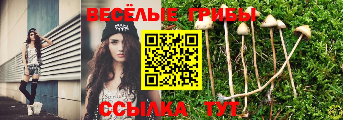 Минусинск  Галлюциногенные грибы Magic Shrooms  закладки  Вход с VPN 